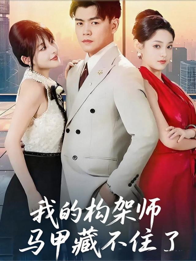 我的架构师马甲藏不住了封面