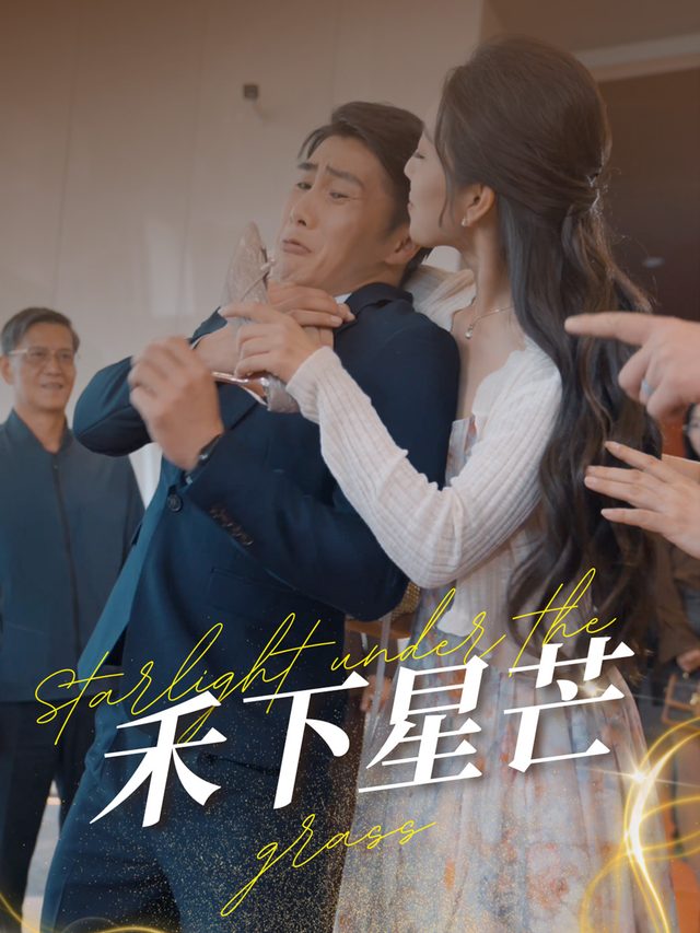 禾下星芒封面