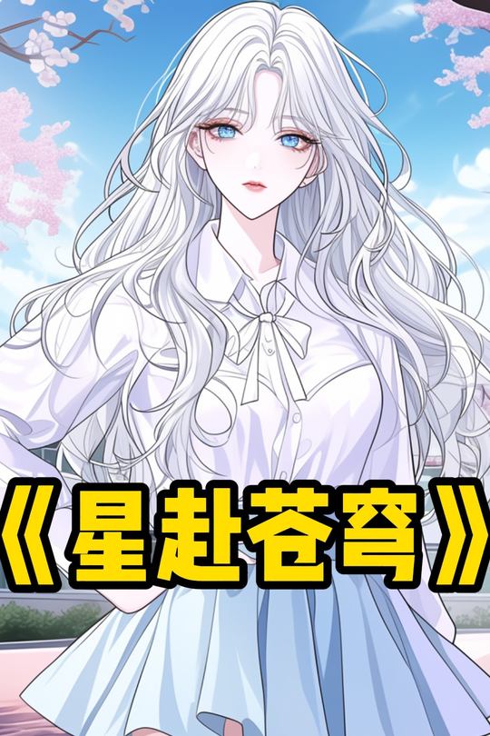 星赴苍穹封面