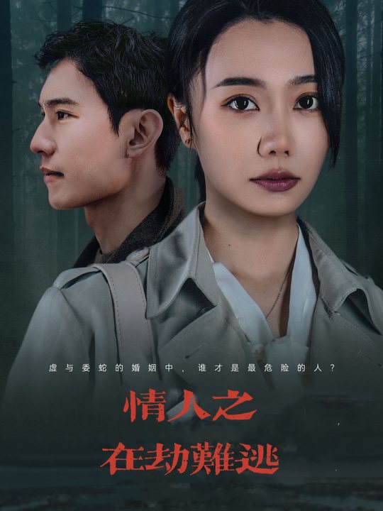 情人之在劫难逃封面