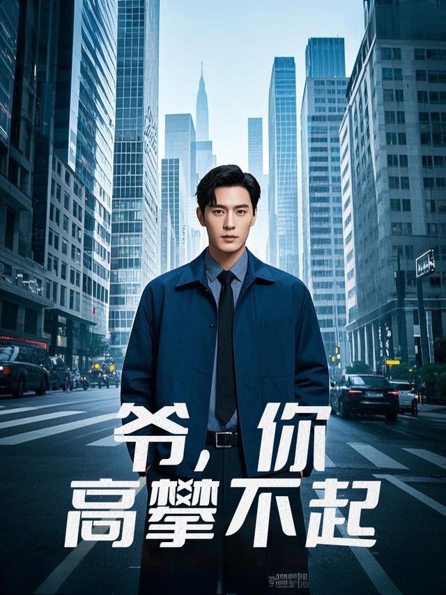 爷,你高攀不起封面