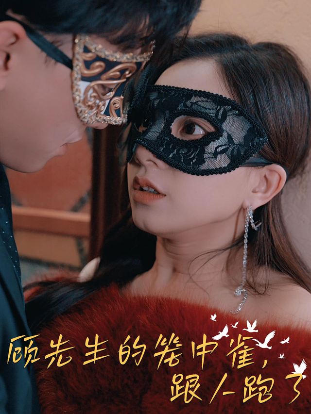 顾先生的笼中雀,跟人跑了封面