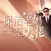 我的保洁老妈封面