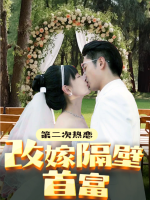 第二次热恋:改嫁隔壁首富封面