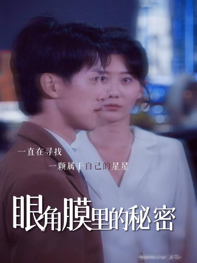 眼角膜里的秘密封面