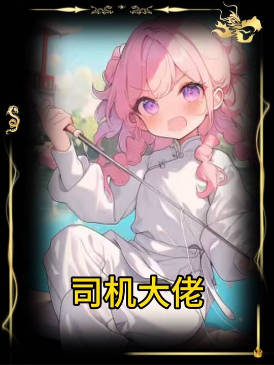司机大佬封面