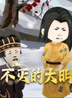 不灭的大明封面
