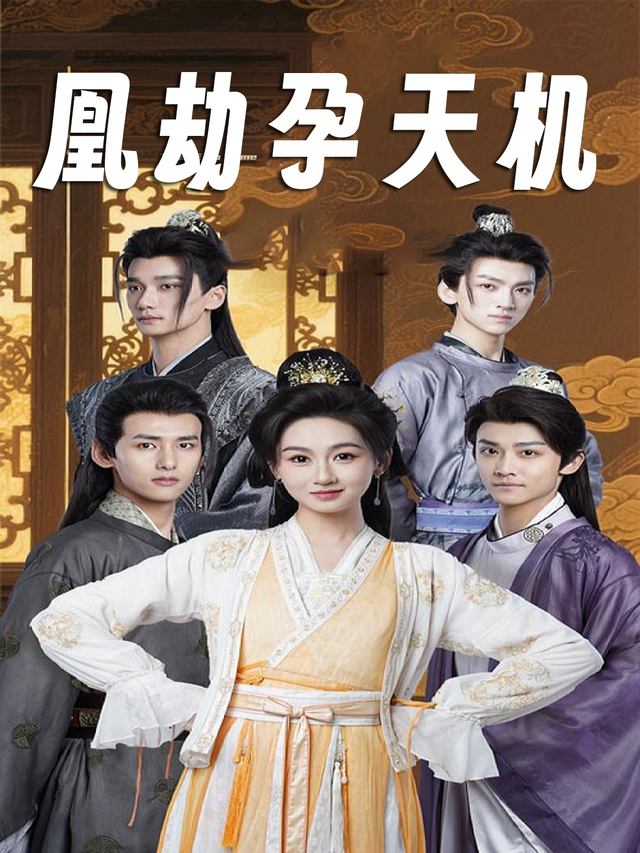 凰劫孕天机封面