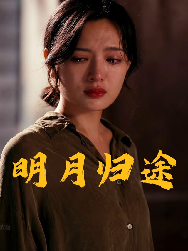 明月归途封面