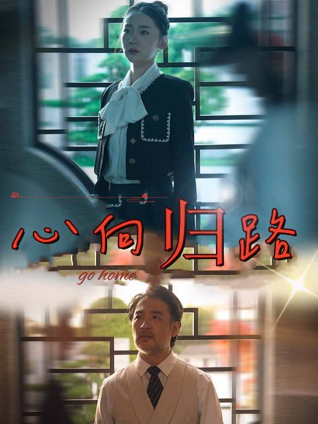 心向归路封面