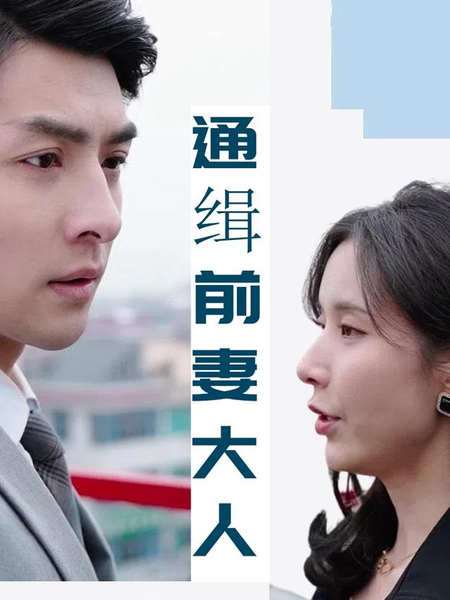 通缉前妻大人封面