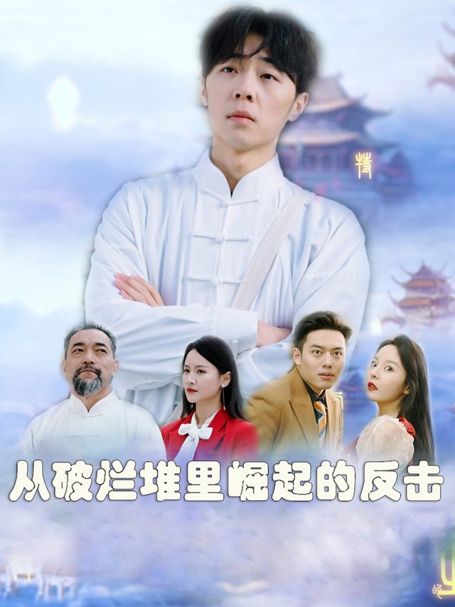 从破烂堆里崛起的反击封面
