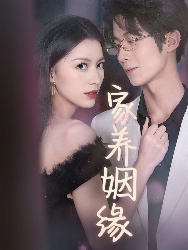 家养姻缘封面