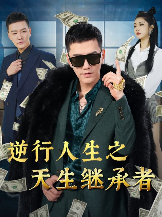 继承者之逆袭封面