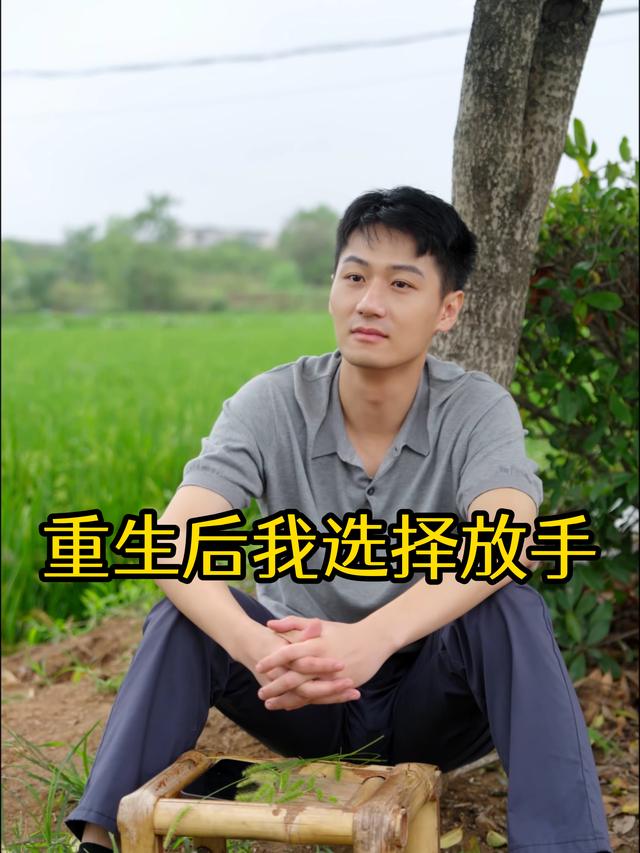 重生后我选择放手封面