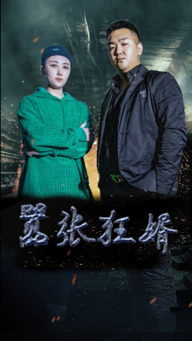 嚣张狂婿封面