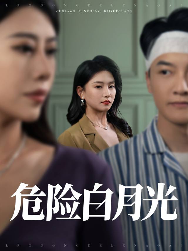 危险白月光封面