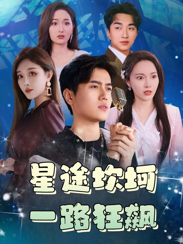 星途坎坷一路狂飙封面