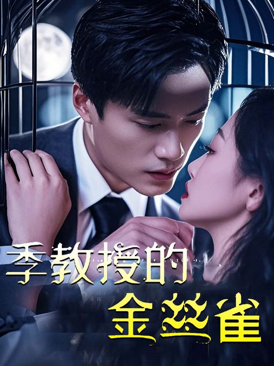 季教授的金丝雀封面