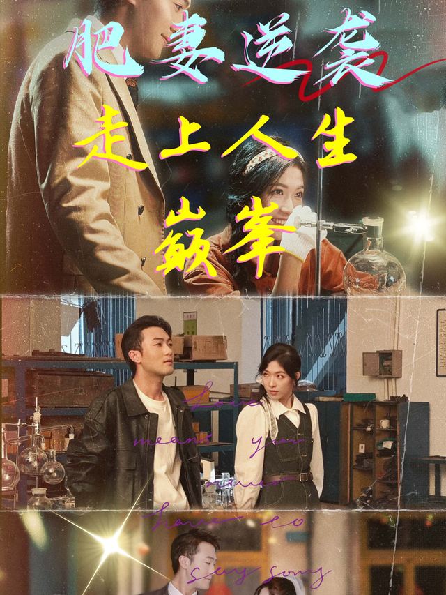 肥妻逆袭走上人生巅峰封面
