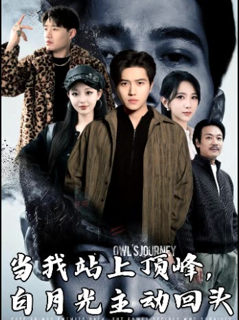 当我站上顶峰，白月光主动回头封面