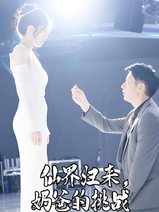 仙界归来,奶爸的挑战封面