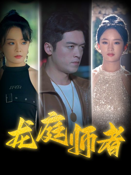 龙庭师者封面