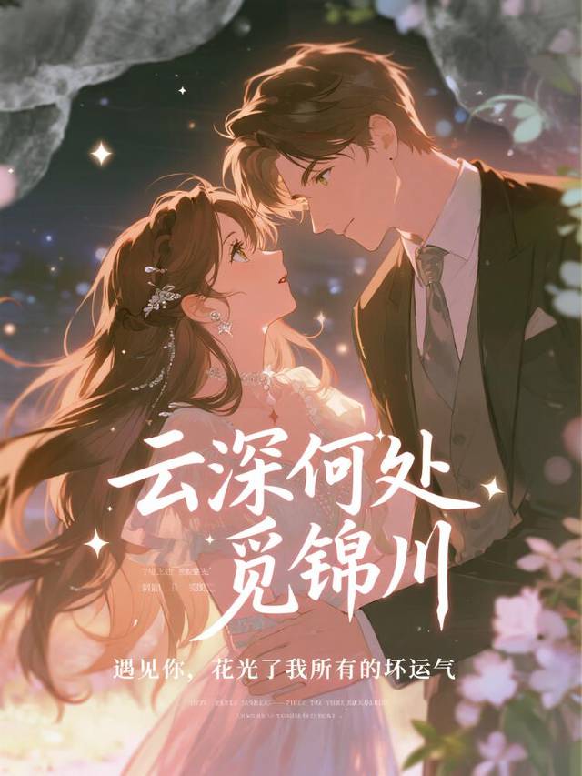 云深何处觅锦川封面