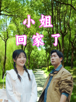 小姐回家了封面