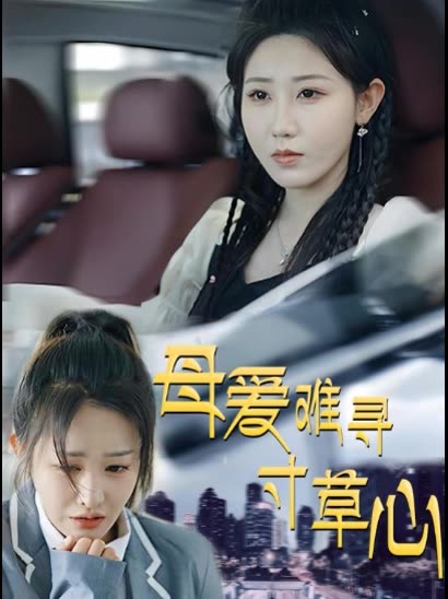 母爱难寻寸草心封面