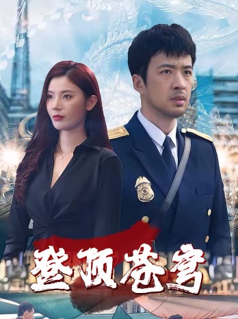 登顶苍穹封面