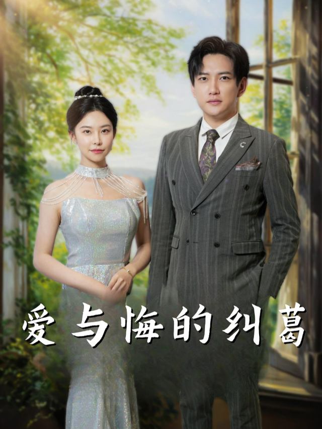爱与悔的纠葛封面