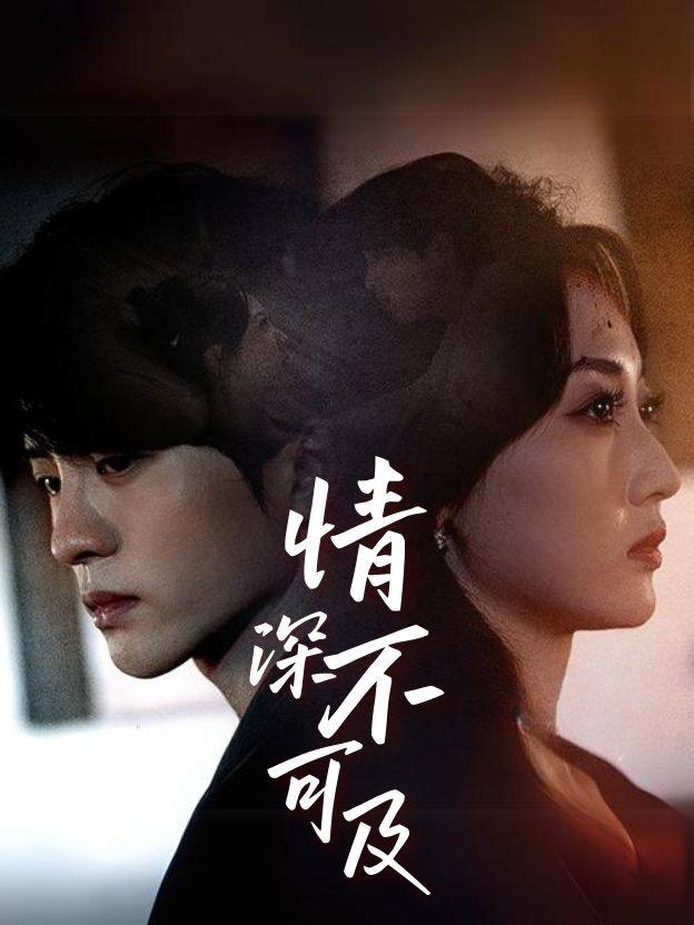 情深不可及封面