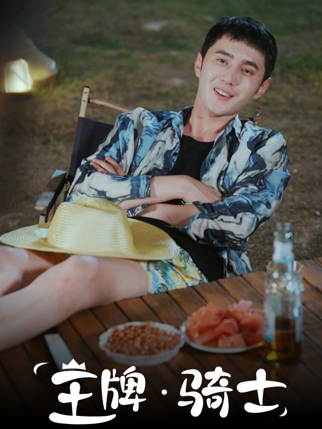 王牌骑士封面