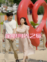 全职寻光之旅封面