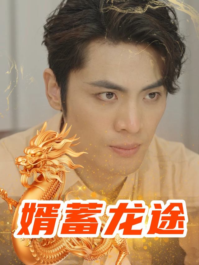 婿蓄龙途封面