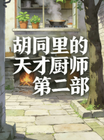 胡同里的天才厨师 第二部封面