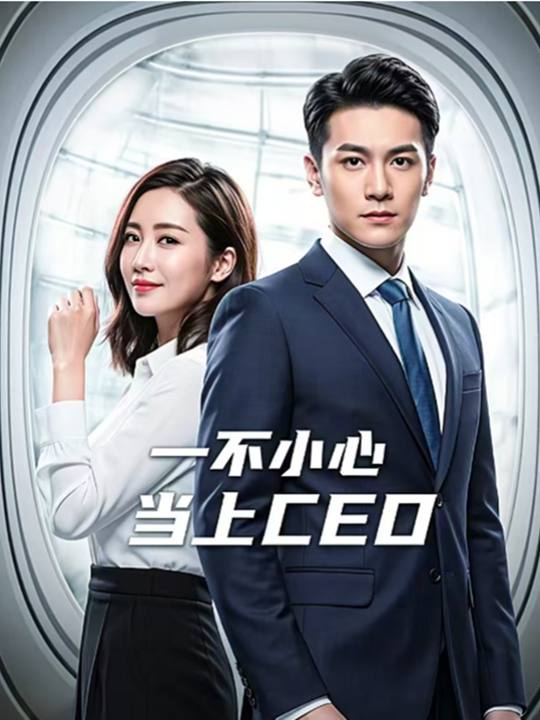 一不小心当上了CEO封面
