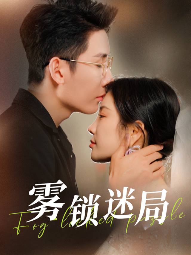 雾锁迷局封面