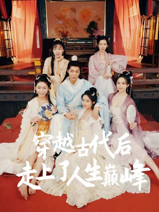 穿越古代后走上了人生巅峰封面