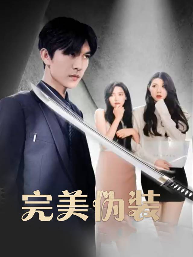 完美伪装封面