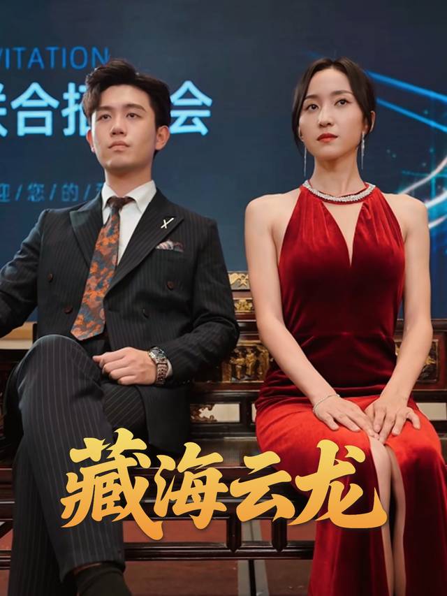 藏海云龙封面