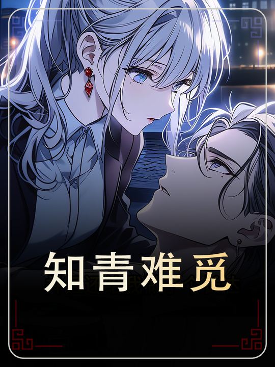知青难觅封面