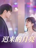 迟来的月亮封面