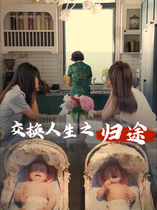交换人生之归途封面