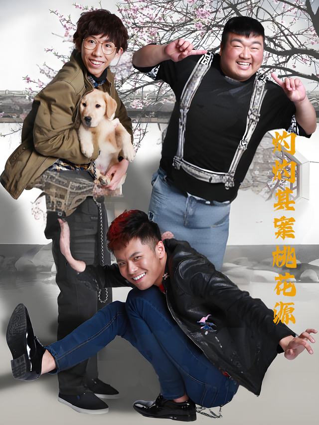 灼灼其案桃花源封面