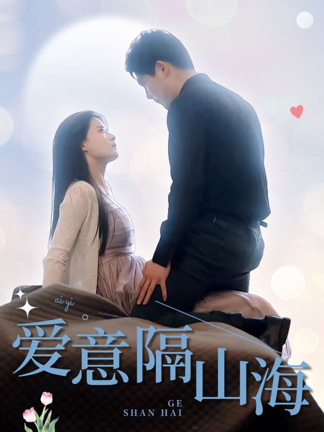 爱意隔山海封面