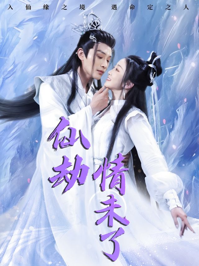 仙劫情未了封面