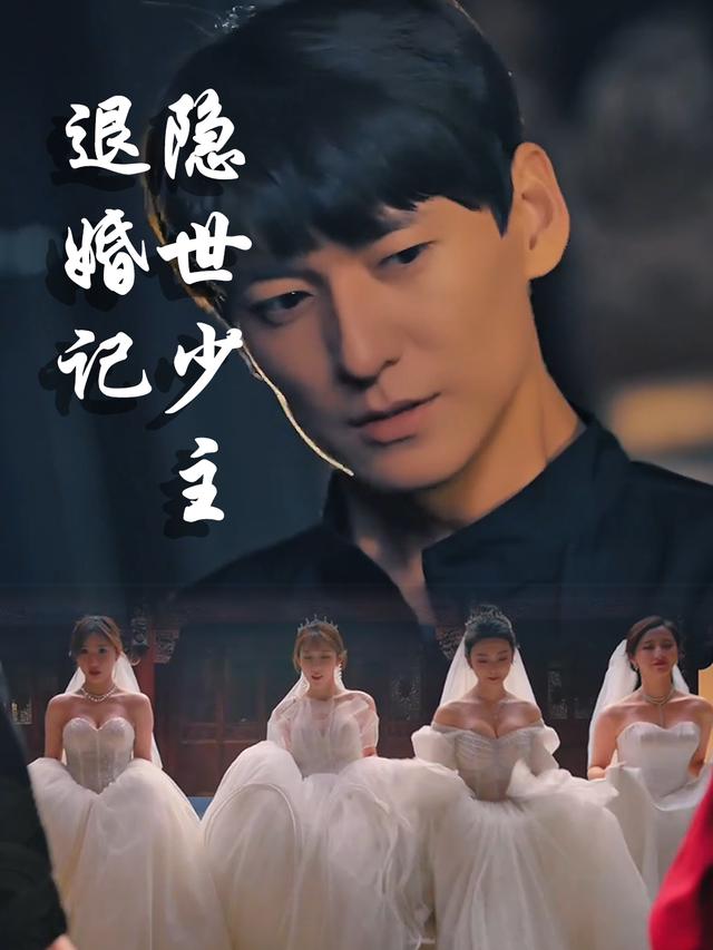 隐世少主退婚记封面