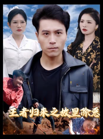 王者归来之故里除恶封面